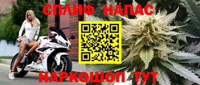 spice Белореченск