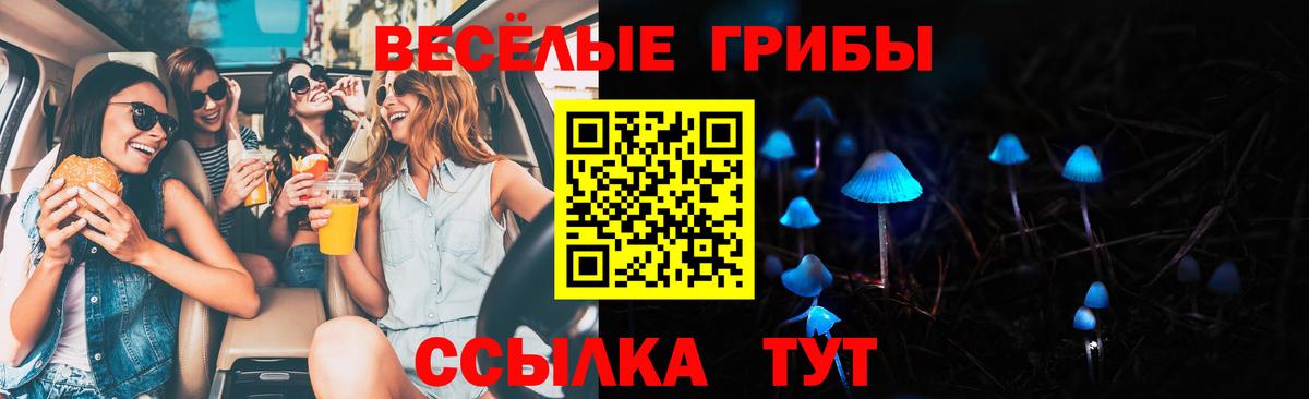 Галлюциногенные грибы мухоморы  Вход с VPN  наркотики  Выборг 